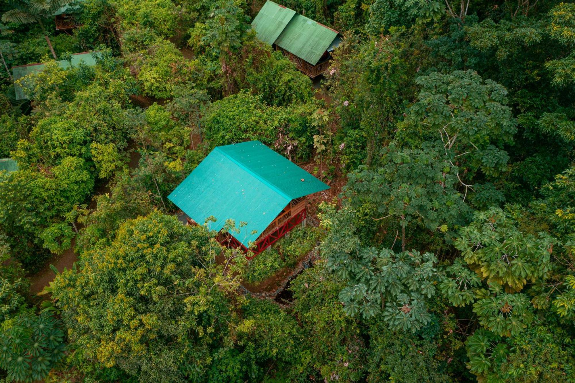 La Tigra Rainforest Lodge La Fortuna Exterior foto