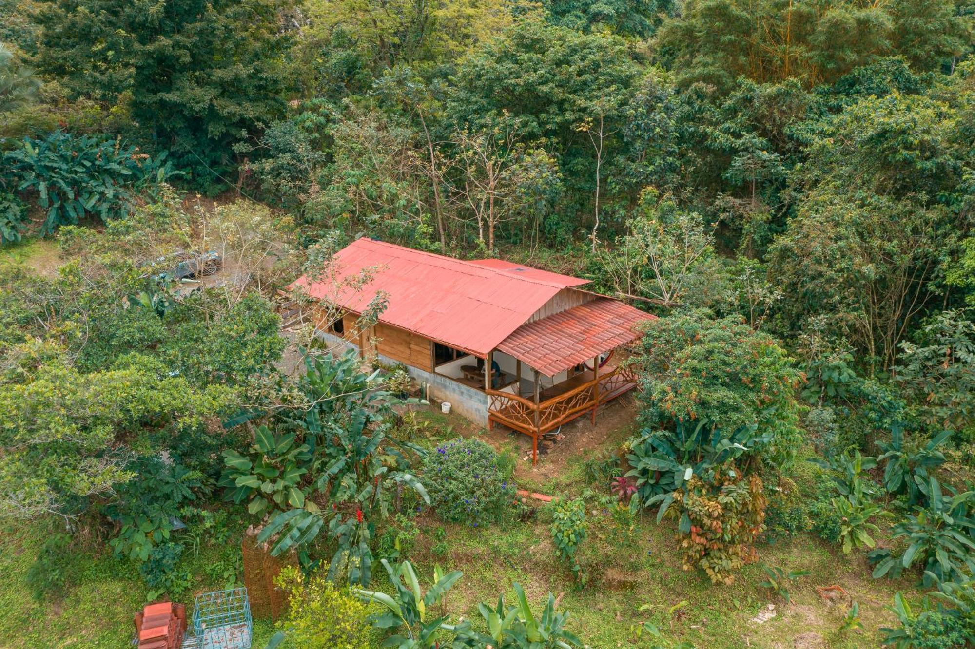 La Tigra Rainforest Lodge La Fortuna Exterior foto