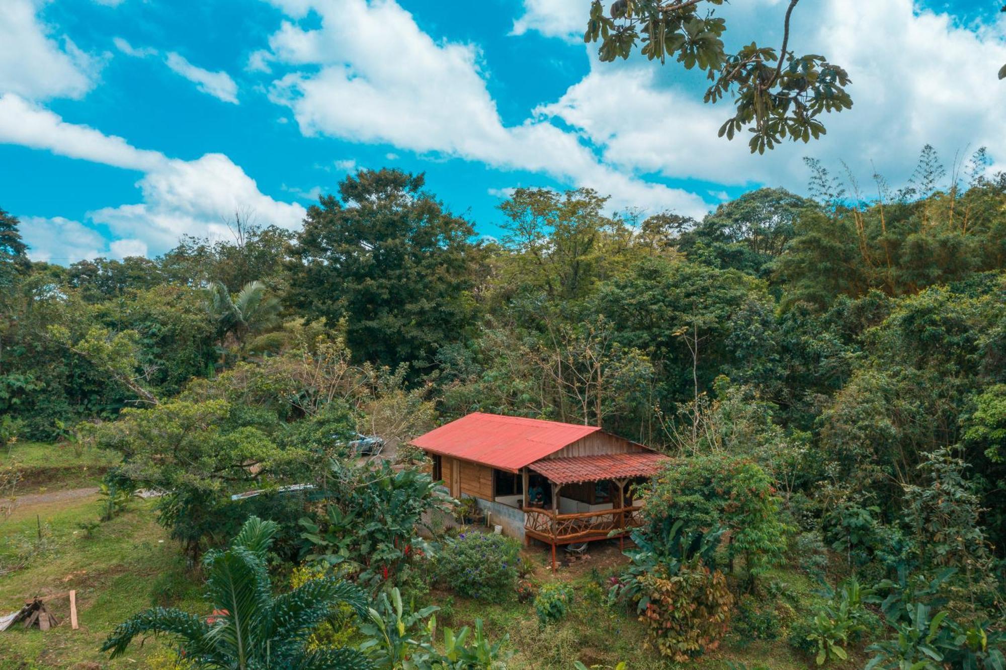 La Tigra Rainforest Lodge La Fortuna Exterior foto