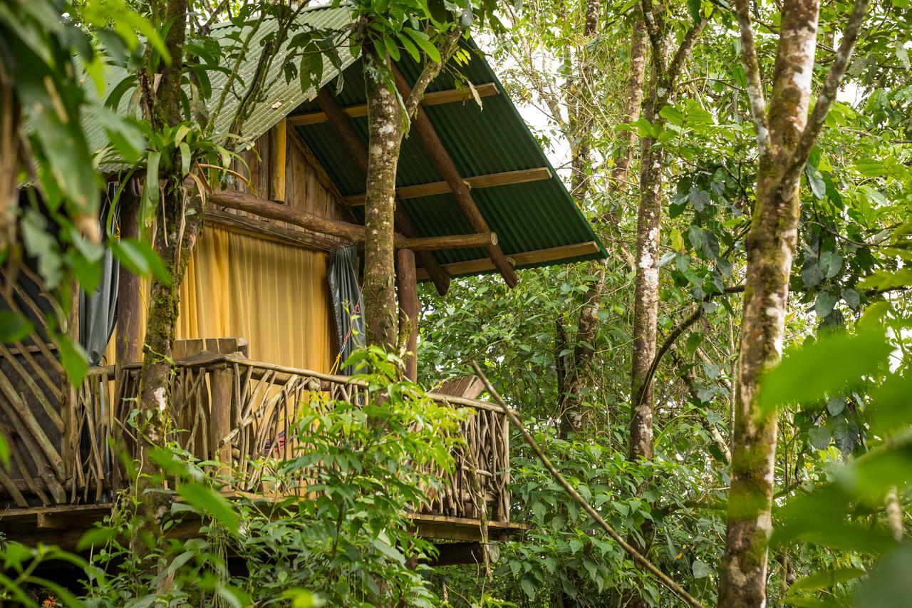 La Tigra Rainforest Lodge La Fortuna Exterior foto