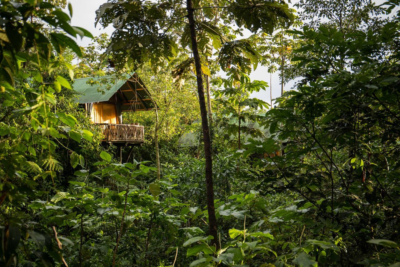 La Tigra Rainforest Lodge La Fortuna Exterior foto